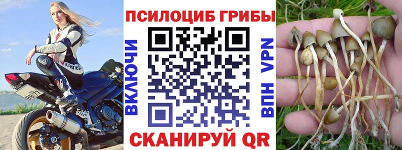 продажа наркотиков  shop официальный сайт  Псилоцибиновые грибы Psilocybine cubensis  Колпашево 